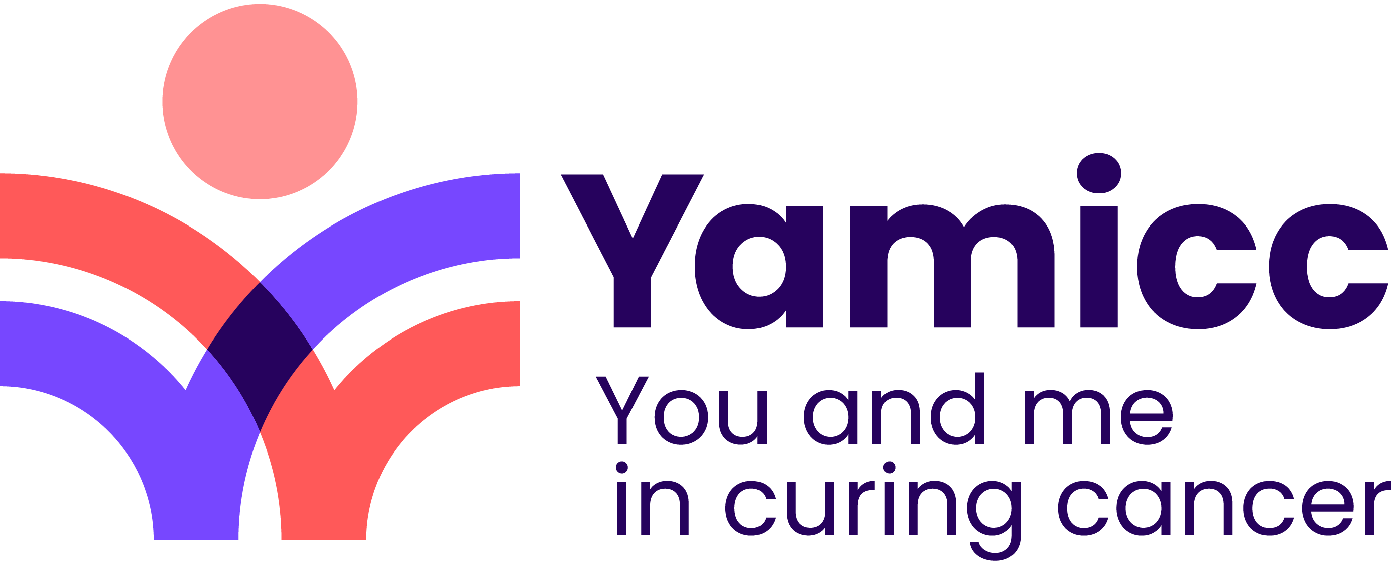 Yamicc