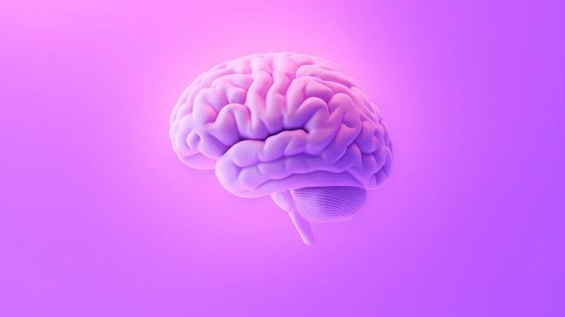 Yamicc Explained: Why we’re building what we’re building